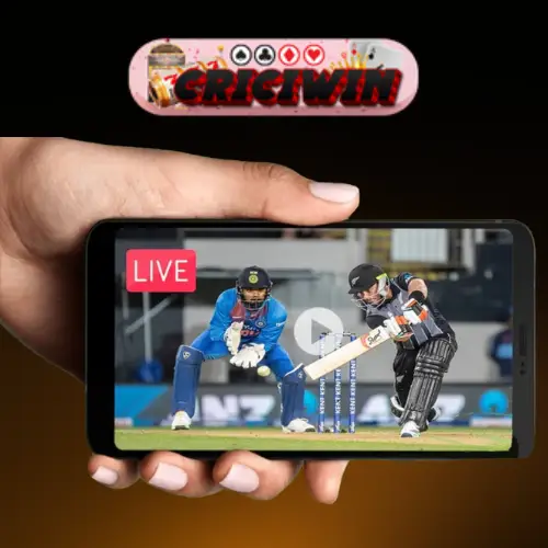 Watching Cricket Live Video An All-Inclusive Guide (2)