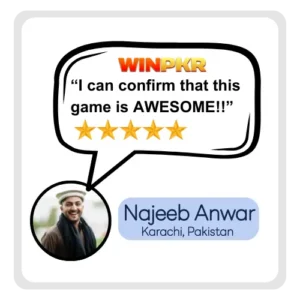 Najeeb Anwar feedback